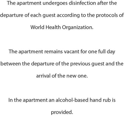 Penthouse Studio Apartment